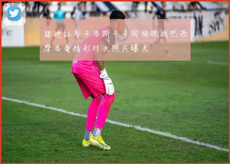 赫迪拉与卡洛斯卡卡同场观战巴西摩洛哥精彩对决照片曝光