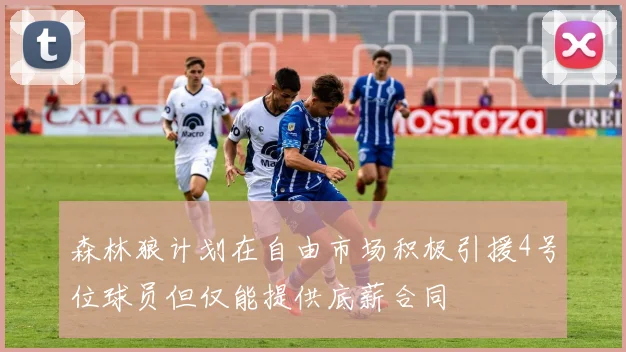 森林狼计划在自由市场积极引援4号位球员但仅能提供底薪合同